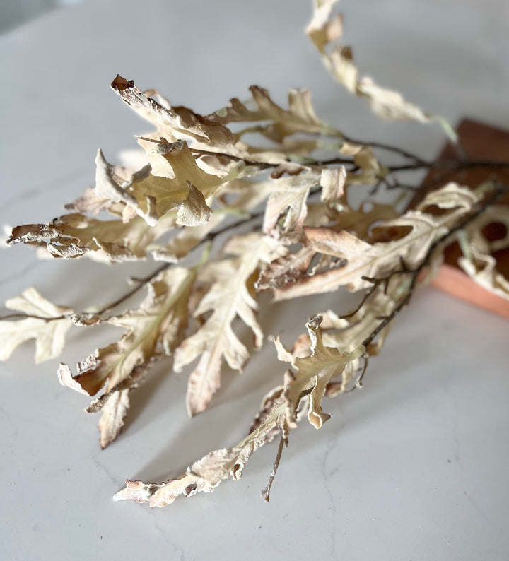 Oak Leaves