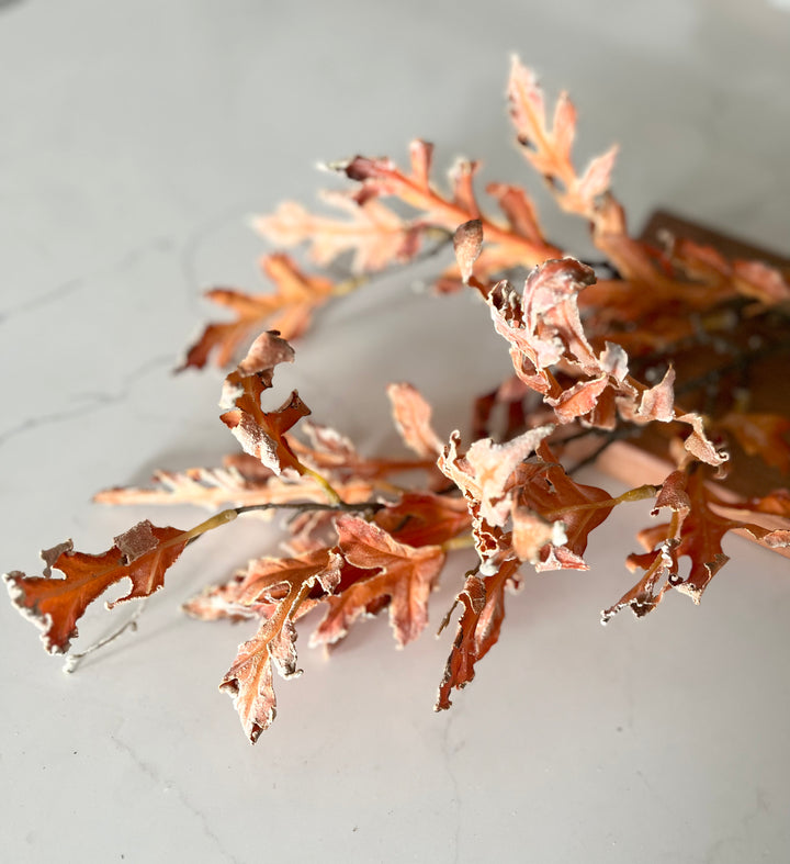 Oak Leaves