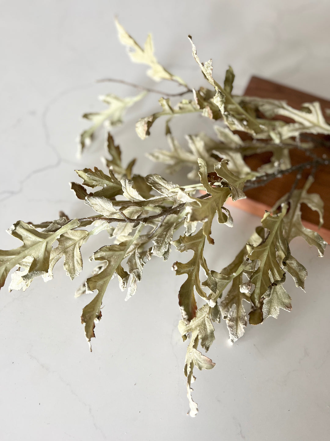 Oak Leaves