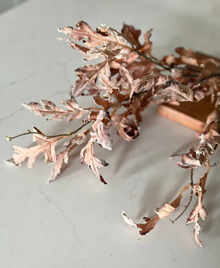 Oak Leaves