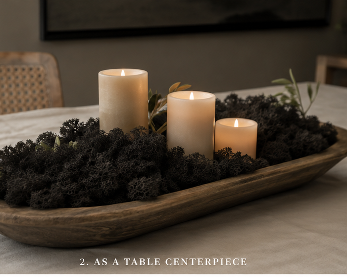 Black Reindeer Moss