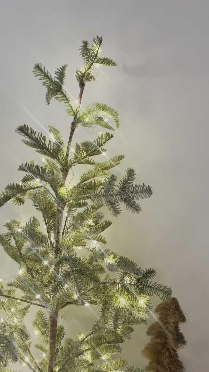 Larkin Tree