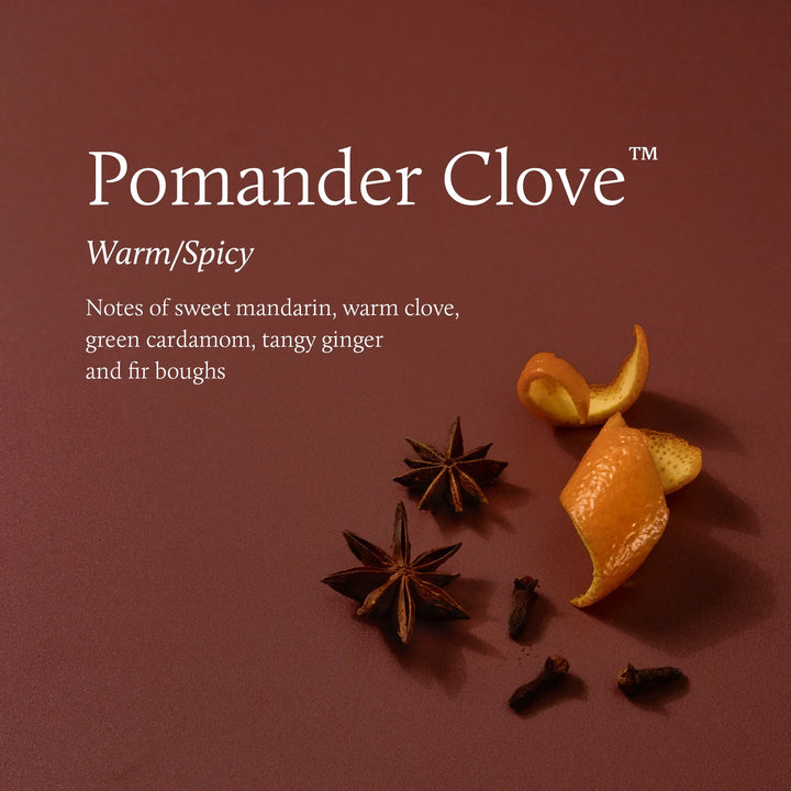 Pomander Clove Poured Candle