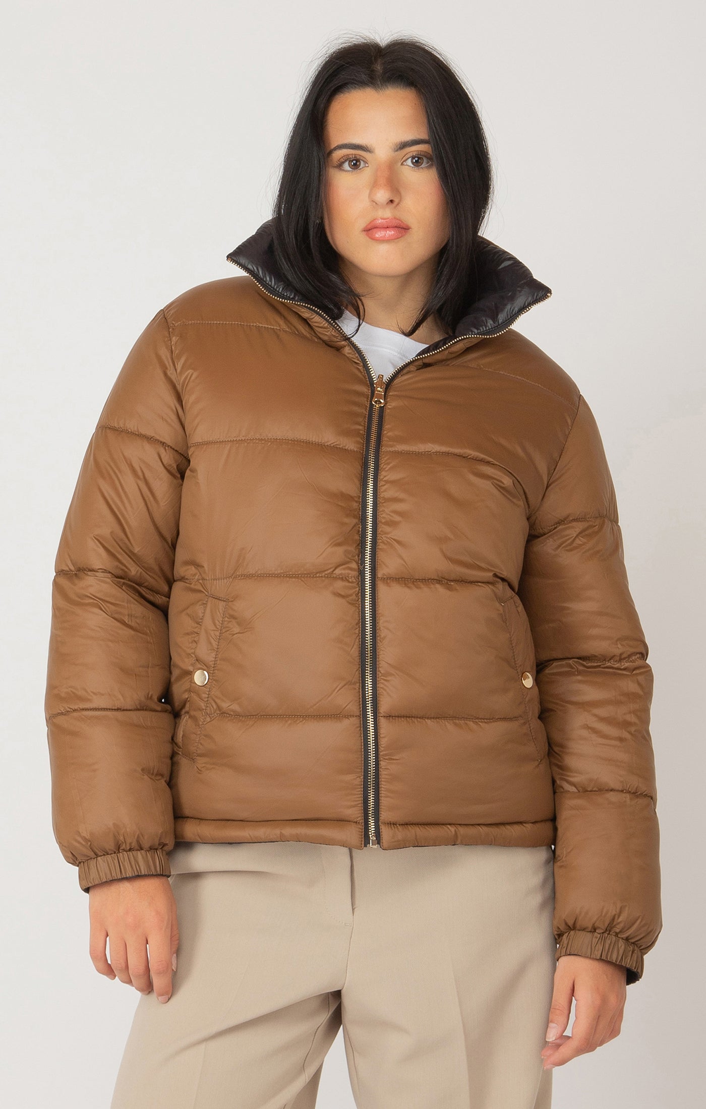 Ace Puffer Bomber