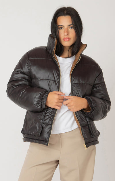 Ace Puffer Bomber