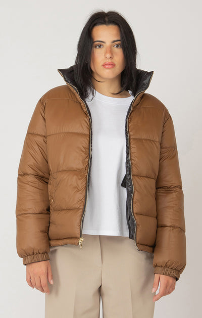 Ace Puffer Bomber