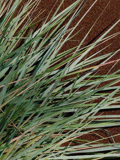 White Vetiver Pura Diffuser Refill