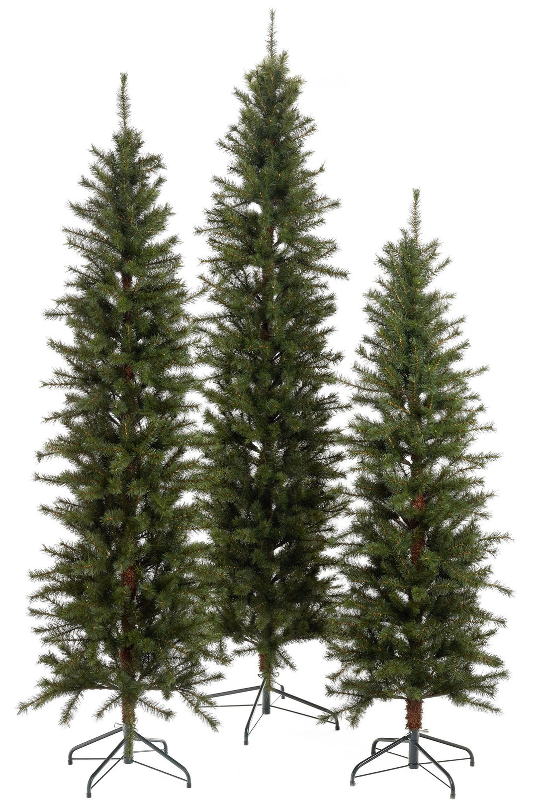 Slim Denver Pine Tree
