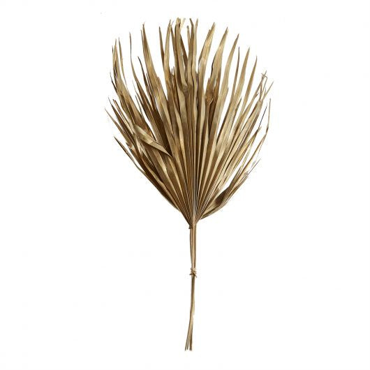 Sun Fan Spear