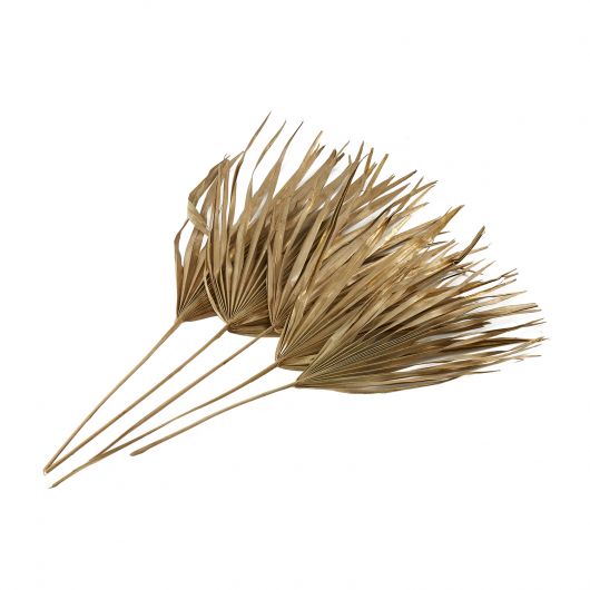 Sun Fan Spear