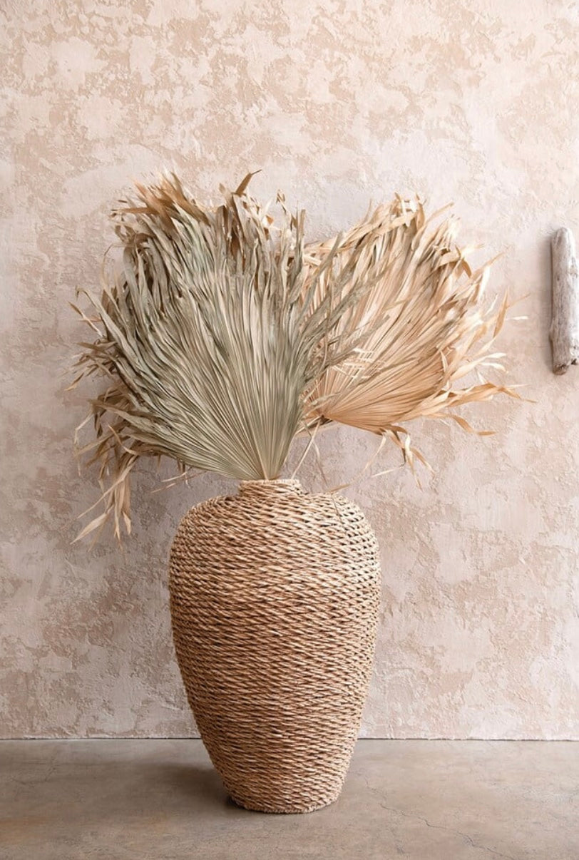 Dried Palm Fan Leaf