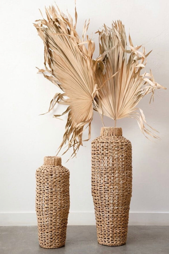 Dried Palm Fan Leaf