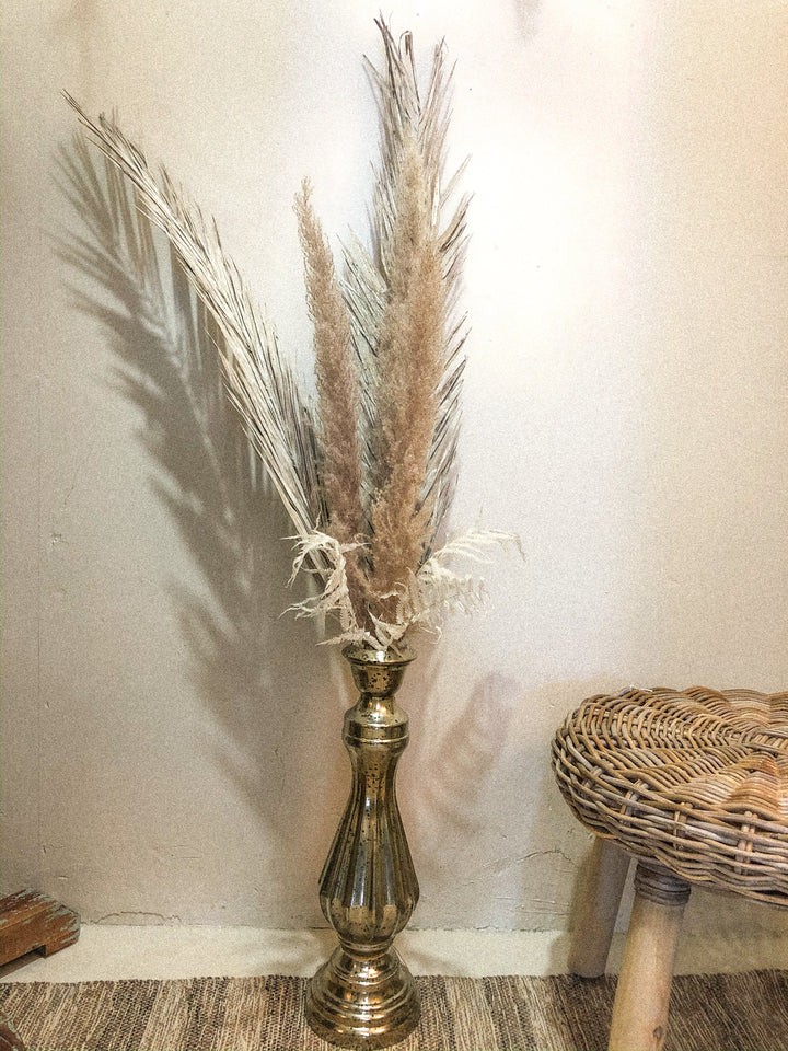 Date Palm Leaves