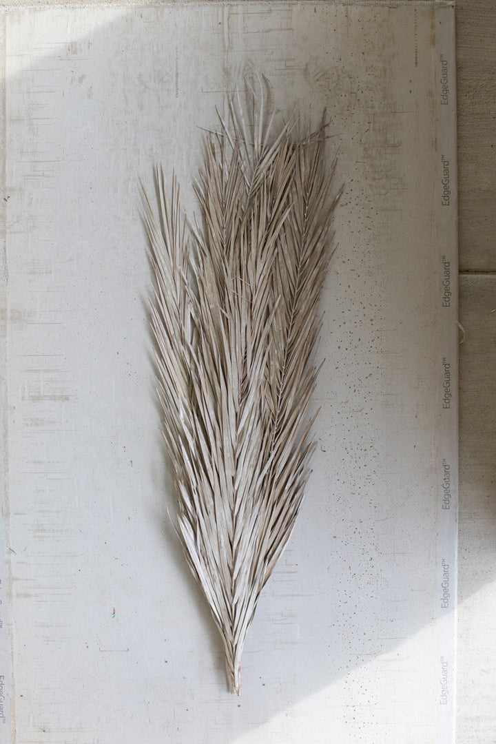 Date Palm Leaves