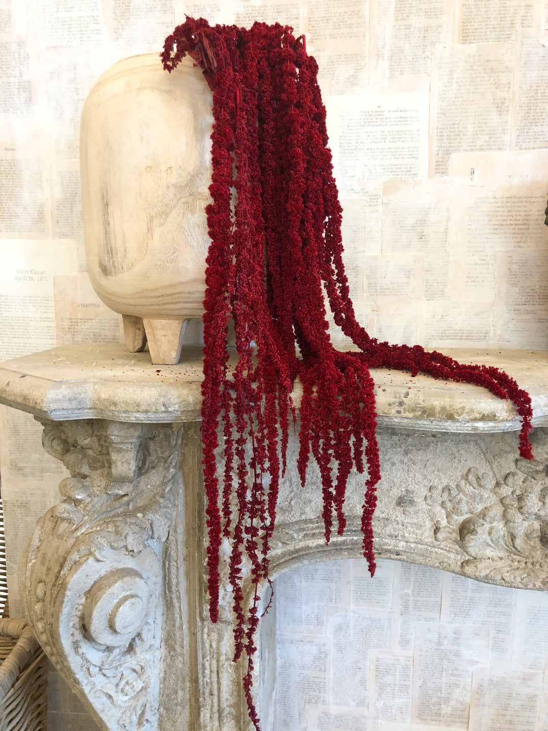 Natural Preserved Amaranthus
