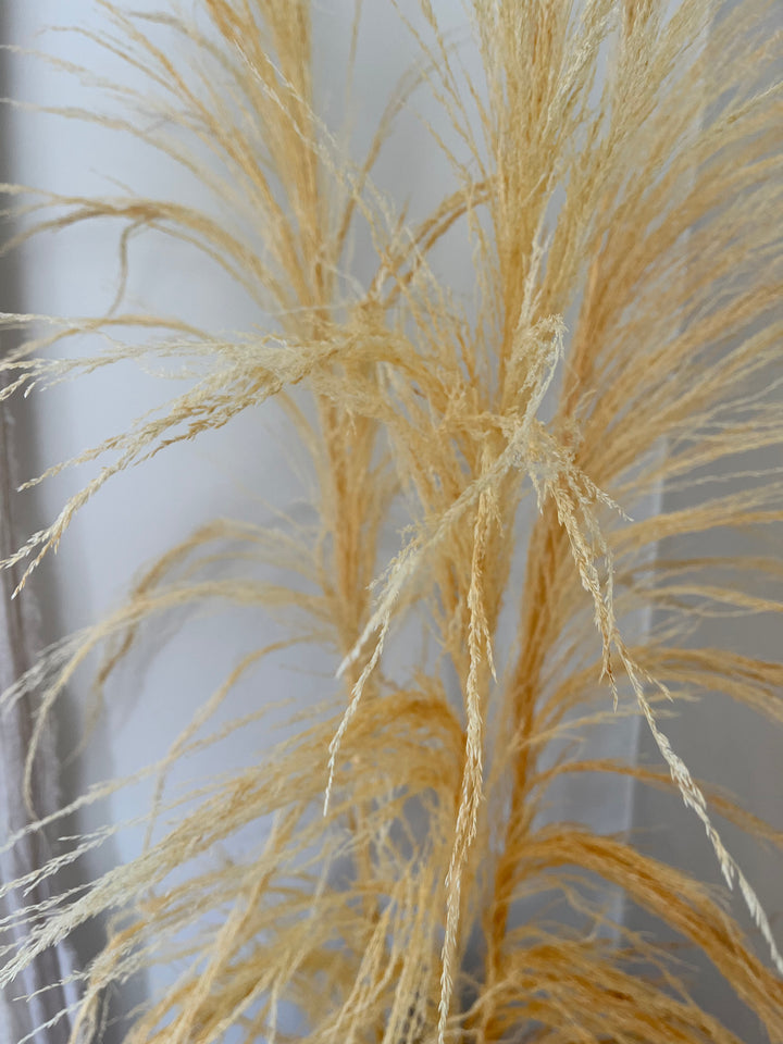 Uva Stalk - bleached