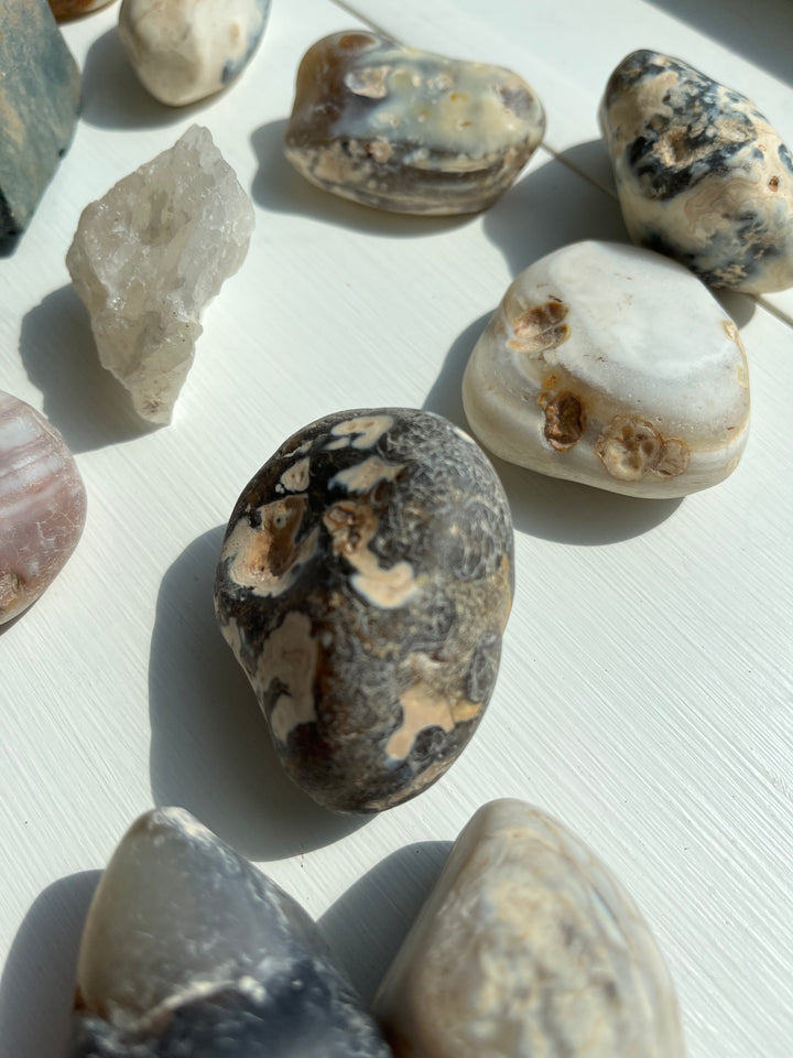 Found Stones and Minerals in a box